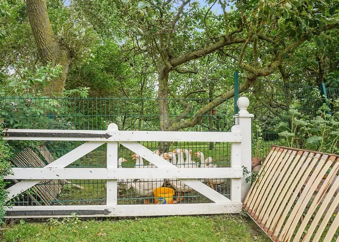 2 Bedroom Amazing In *